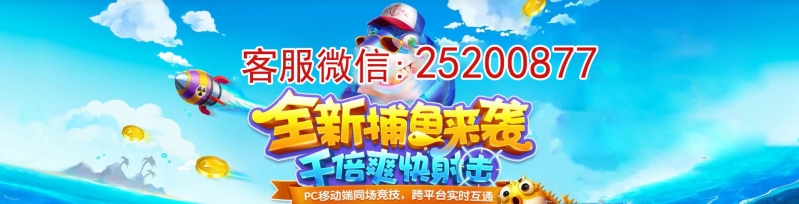 正版星力十代动漫科技有限公司